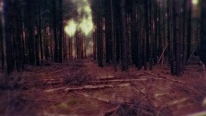 undefined Images